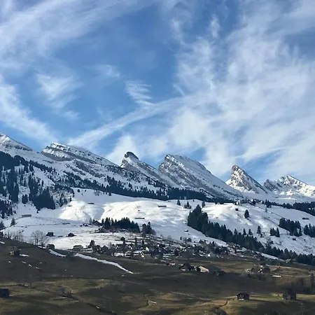 Haus Am Bach In Toggenburg Apartment *