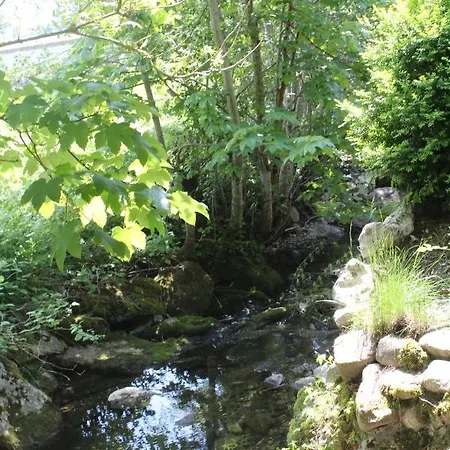 Haus Am Bach In Toggenburg Appartement Wildhaus