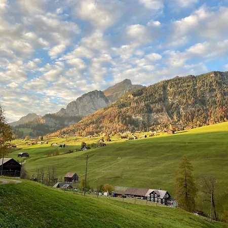 Haus Am Bach In Toggenburg וילדהאוס