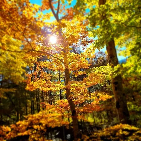 Haus Am Bach In Toggenburg *