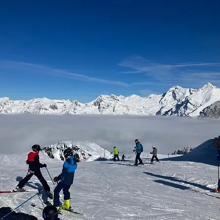 Apartment Haus Am Bach In Toggenburg Wildhaus