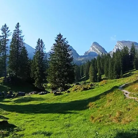 Haus Am Bach In Toggenburg Appartement