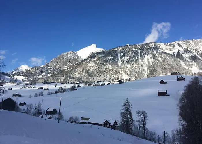 Apartment Haus Am Bach In Toggenburg *