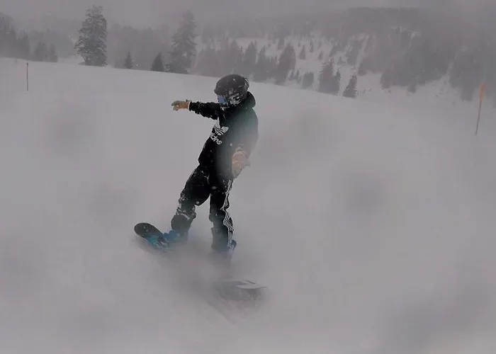 Apartment Haus Am Bach In Toggenburg