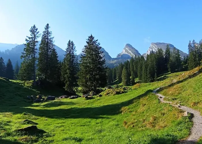 Haus Am Bach In Toggenburg Apartment