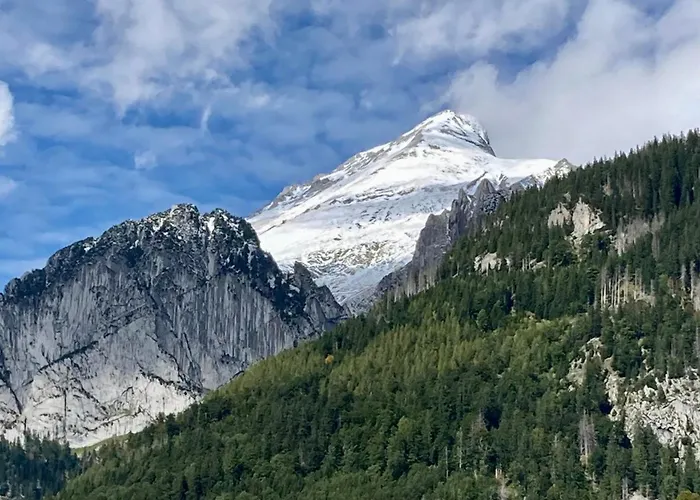 Apartment Haus Am Bach In Toggenburg Wildhaus