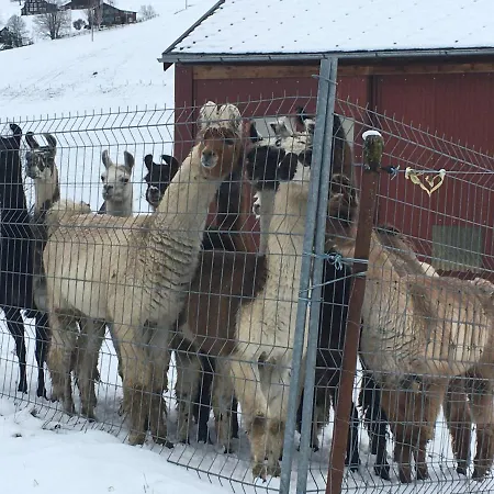 Haus Am Bach In Toggenburg Apartamento *