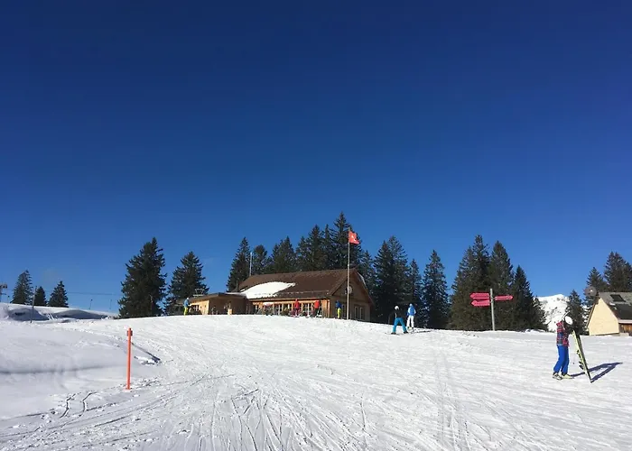 Haus Am Bach In Toggenburg וילדהאוס