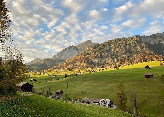 Haus Am Bach In Toggenburg וילדהאוס