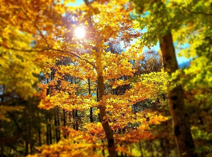 Haus Am Bach In Toggenburg *