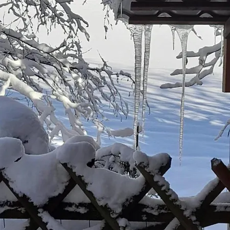 Haus Am Bach In Toggenburg *