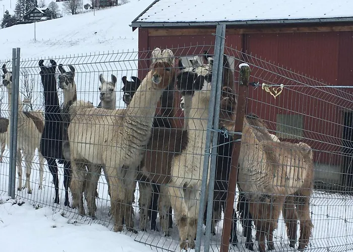 Haus Am Bach In Toggenburg Daire *