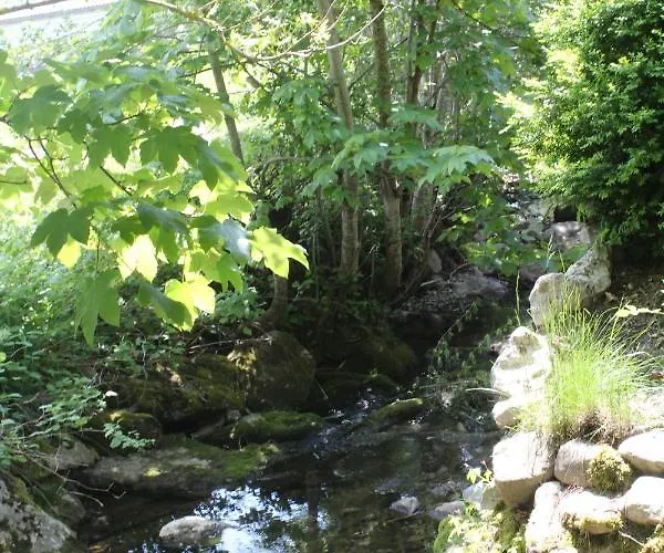 Haus Am Bach In Toggenburg Daire Wildhaus