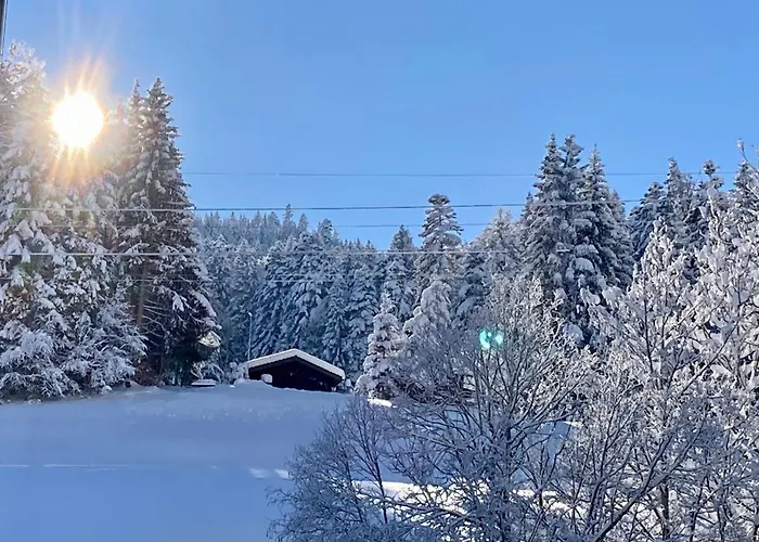 Haus Am Bach In Toggenburg