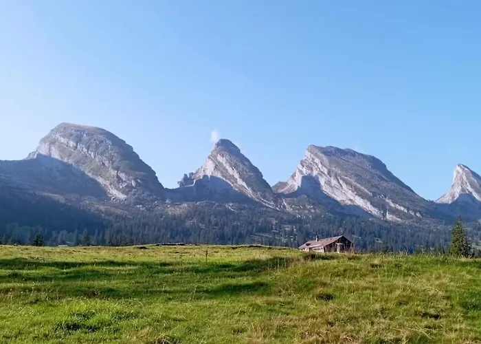 Haus Am Bach In Toggenburg Daire Wildhaus